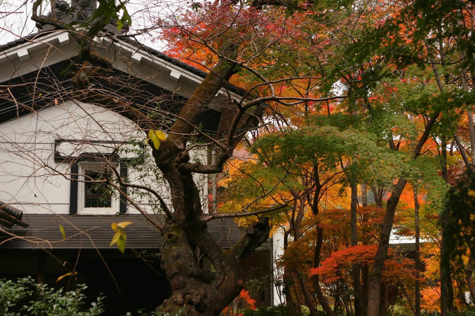 Sakan Sendai Exterior photo